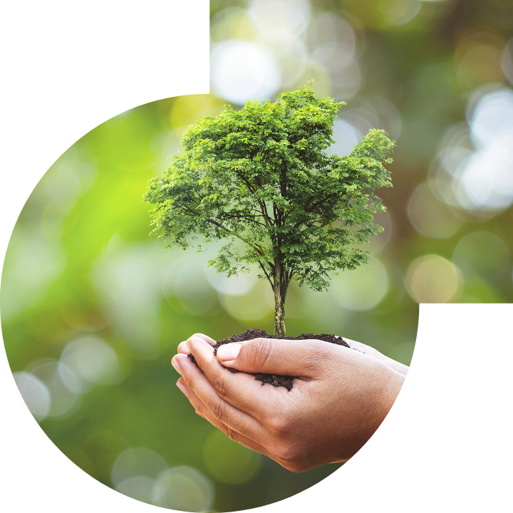 关怀人类、文化、环境与社会